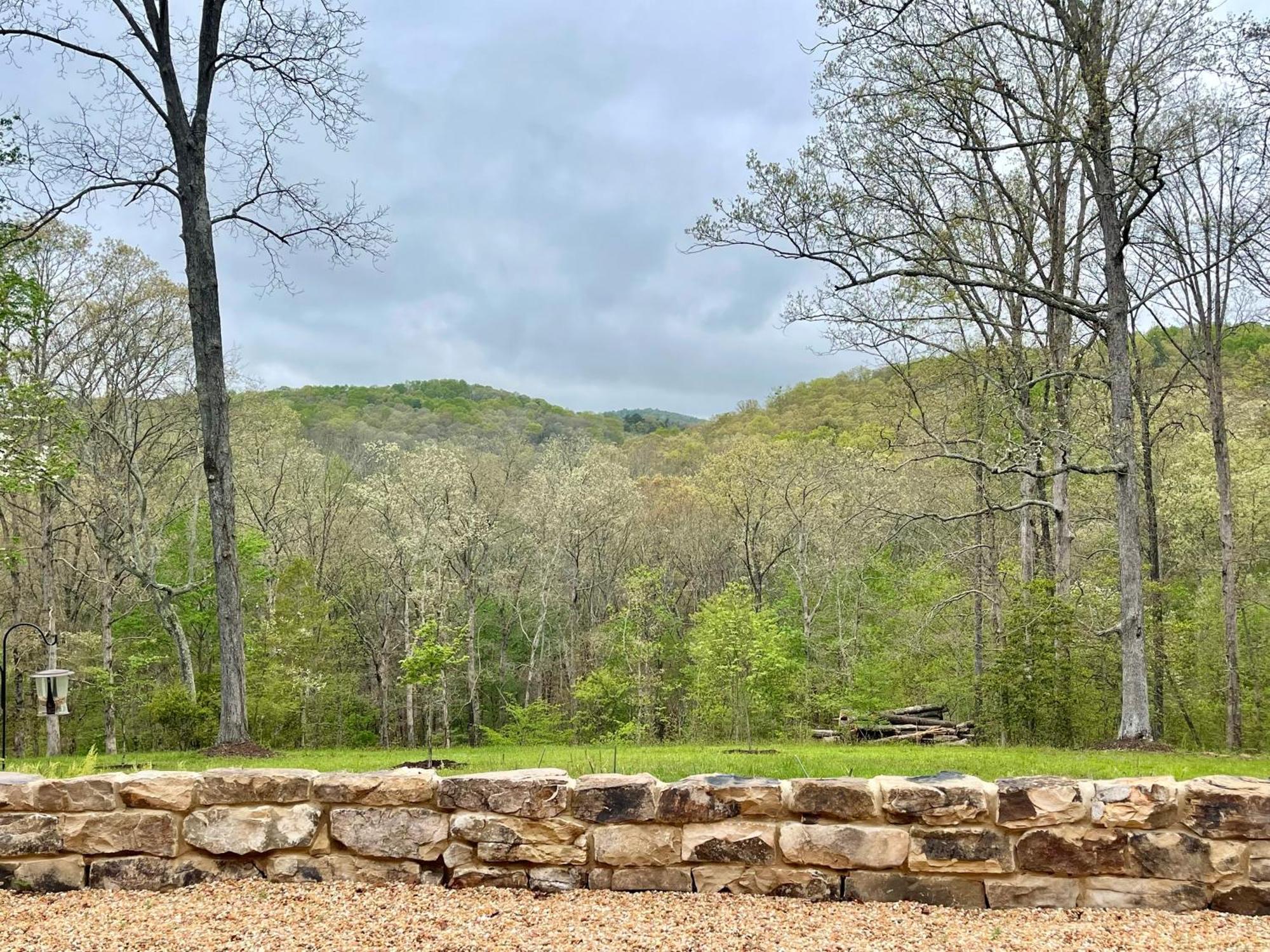 The Dogwood Inn Blue Ridge Exterior foto